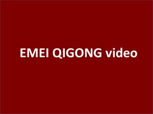 Emei Qigong Video